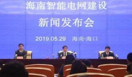 电网领导爆料新闻报道,新闻报道背后的真相与挑战